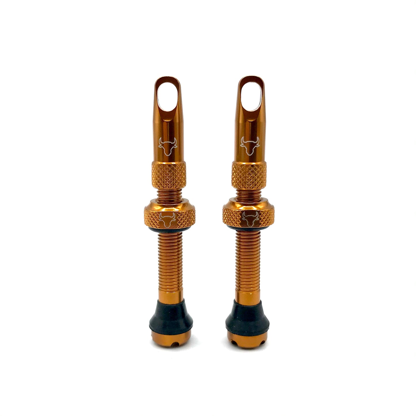 Insert Compatible Tubeless Valves