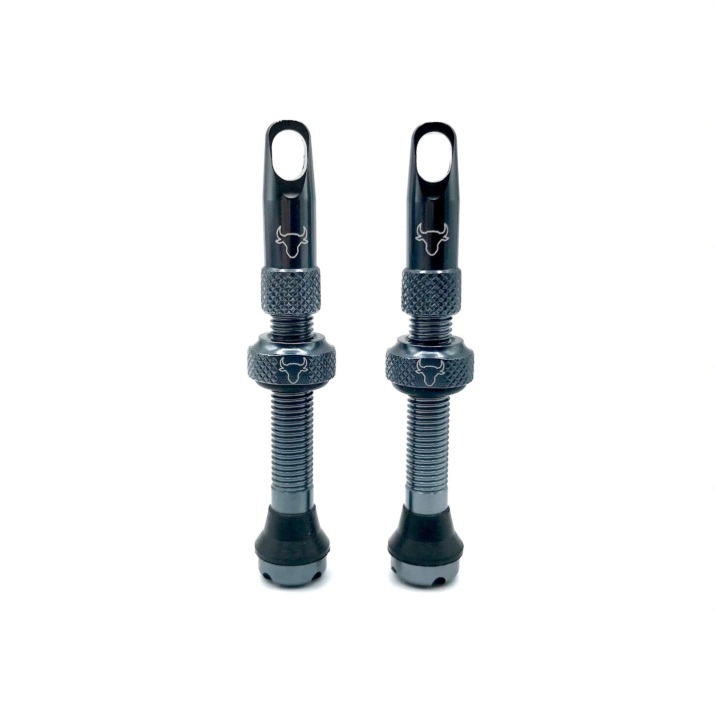 Insert Compatible Tubeless Valves
