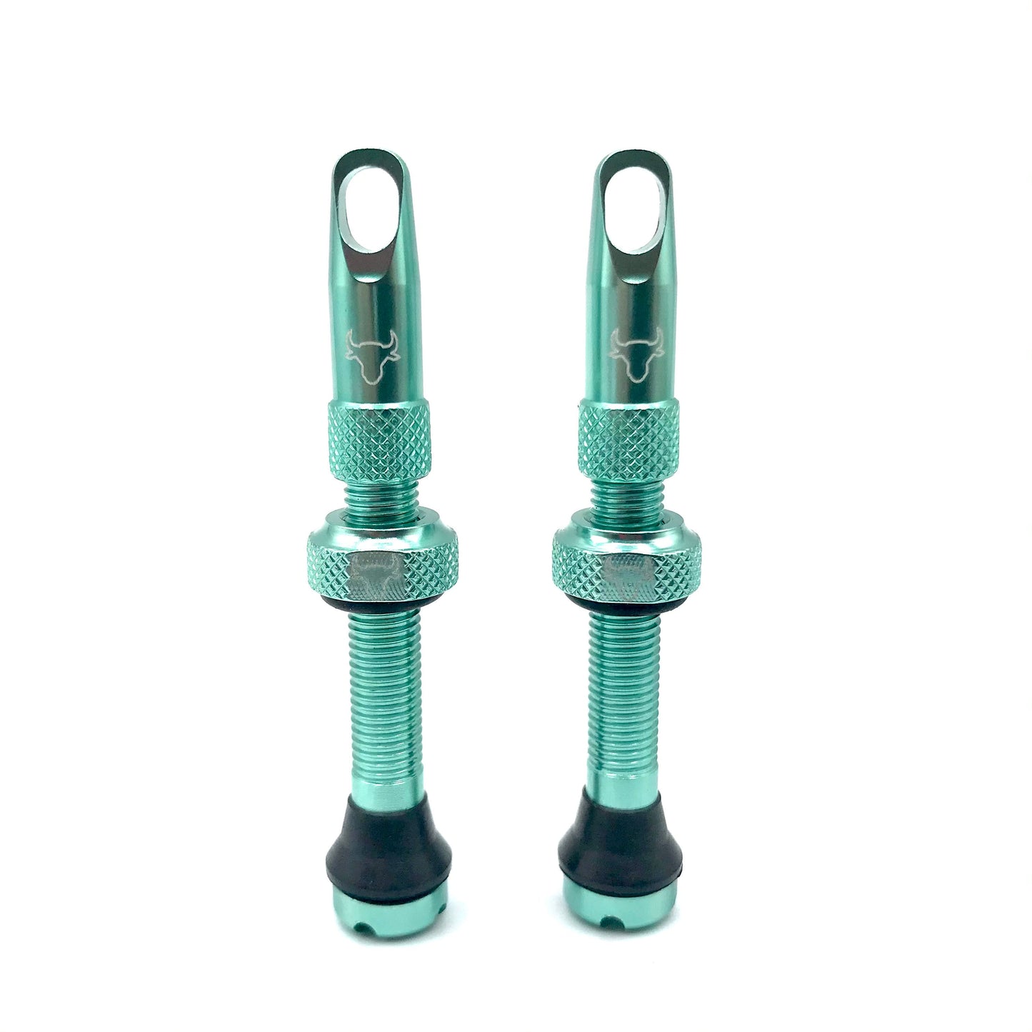 Insert Compatible Tubeless Valves