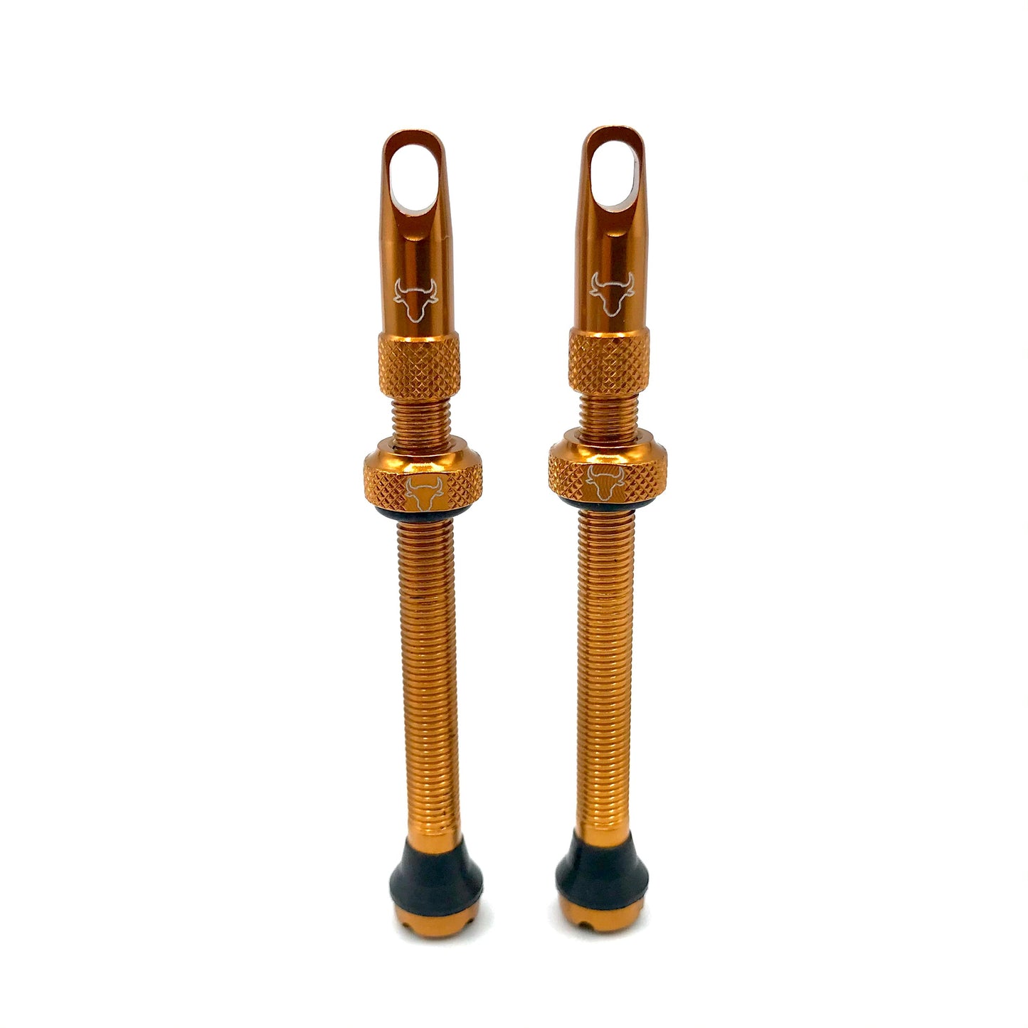 Insert Compatible Tubeless Valves