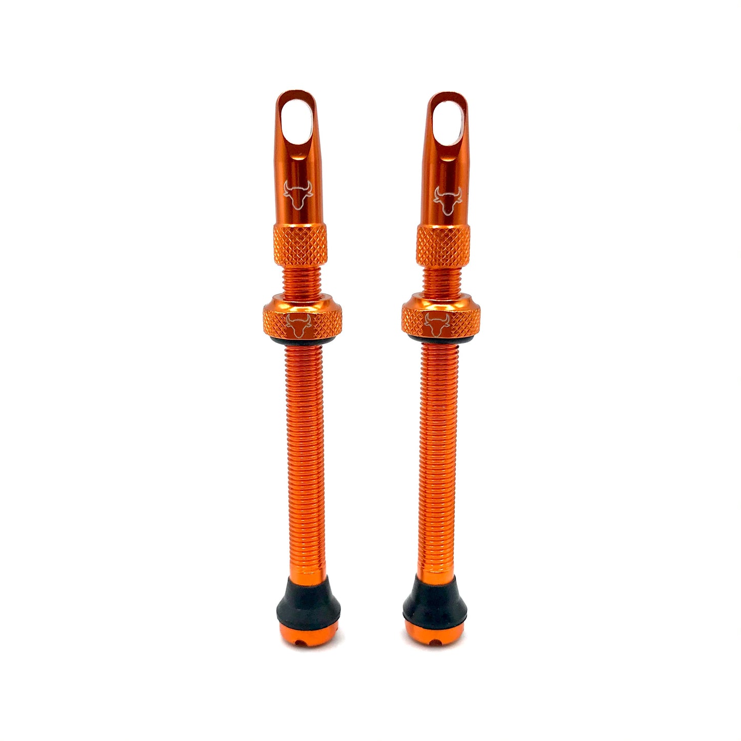 Insert Compatible Tubeless Valves