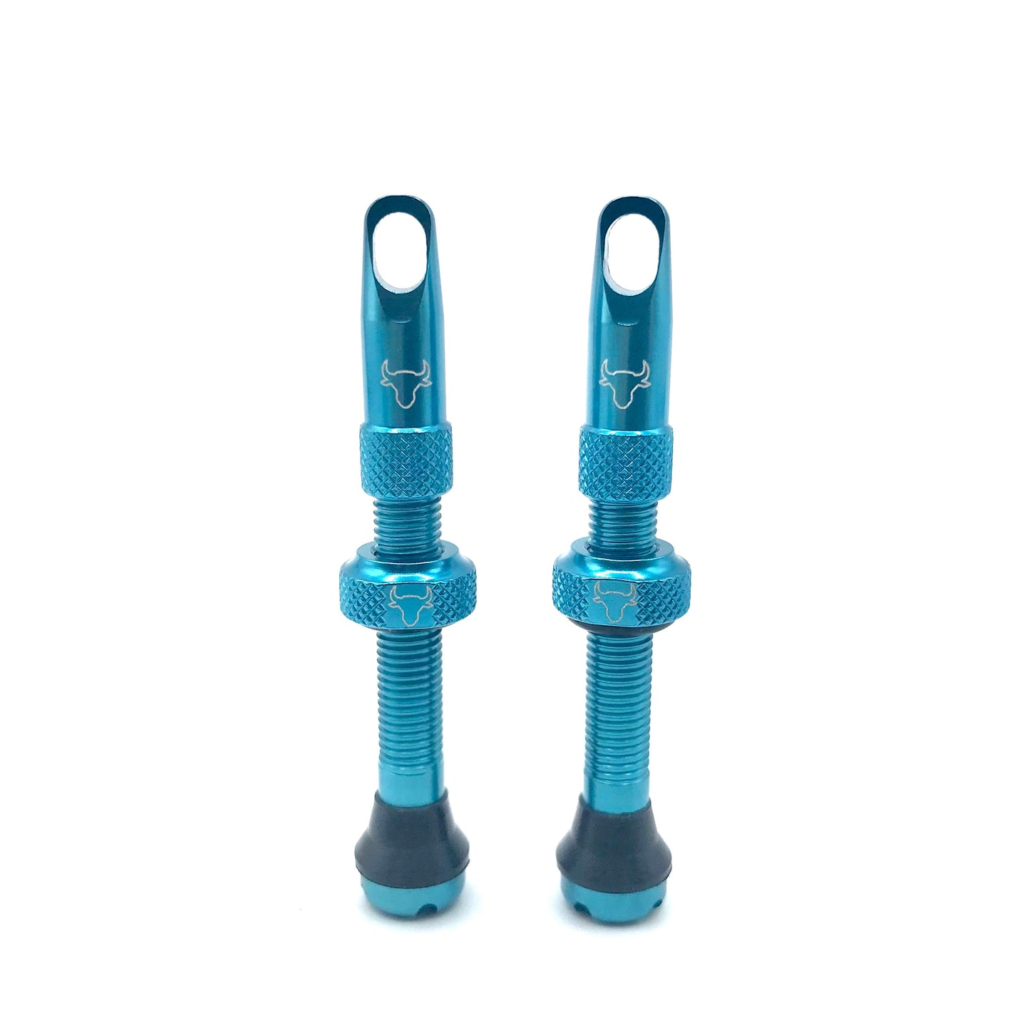 Insert Compatible Tubeless Valves